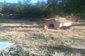 Property grounds - Detached rural 19th century country house. (Calonge de Segarra)