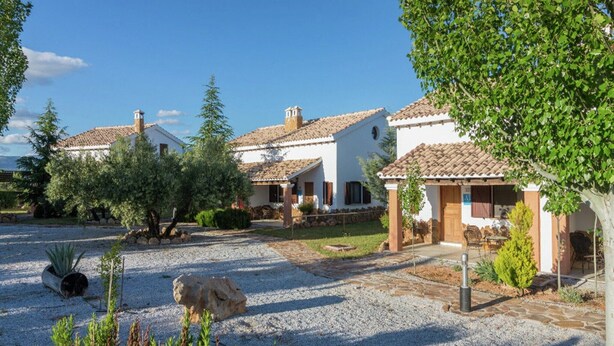 Una villa tradicional con entrada de grava, rodeada de olivos y un jardín bien cuidado.