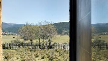 Suite básica, vista al valle | Escritorio, espacio para trabajar con laptop y wifi gratis