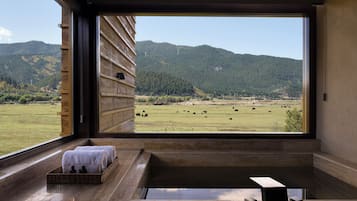 Desk, laptop workspace, free WiFi