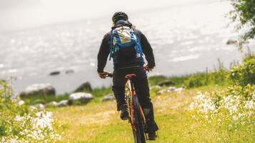 A person riding a bicycle on a grassy path with a backpack, near a body of water.