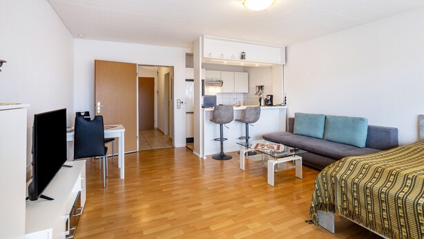 Een moderne woonkamer met een bank, een televisie, een eethoek met stoelen en een keukenhoek.