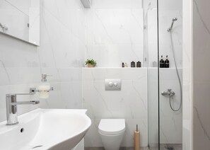 Shower, hair dryer, towels