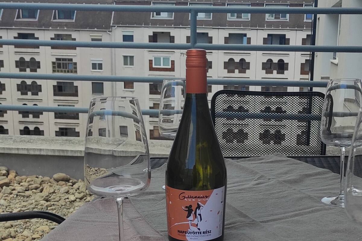Superior-Apartment, Balkon | Terrasse/Patio