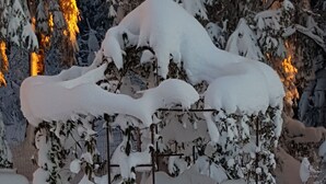 Un espacio exterior cubierto de nieve con una estructura metálica, posiblemente un banco o una mesa, rodeado de árboles cargados de nieve.