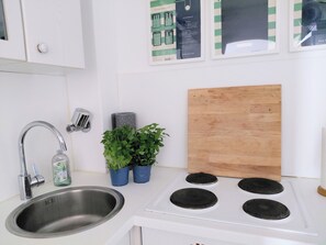 Fridge, oven, stovetop, dishwasher