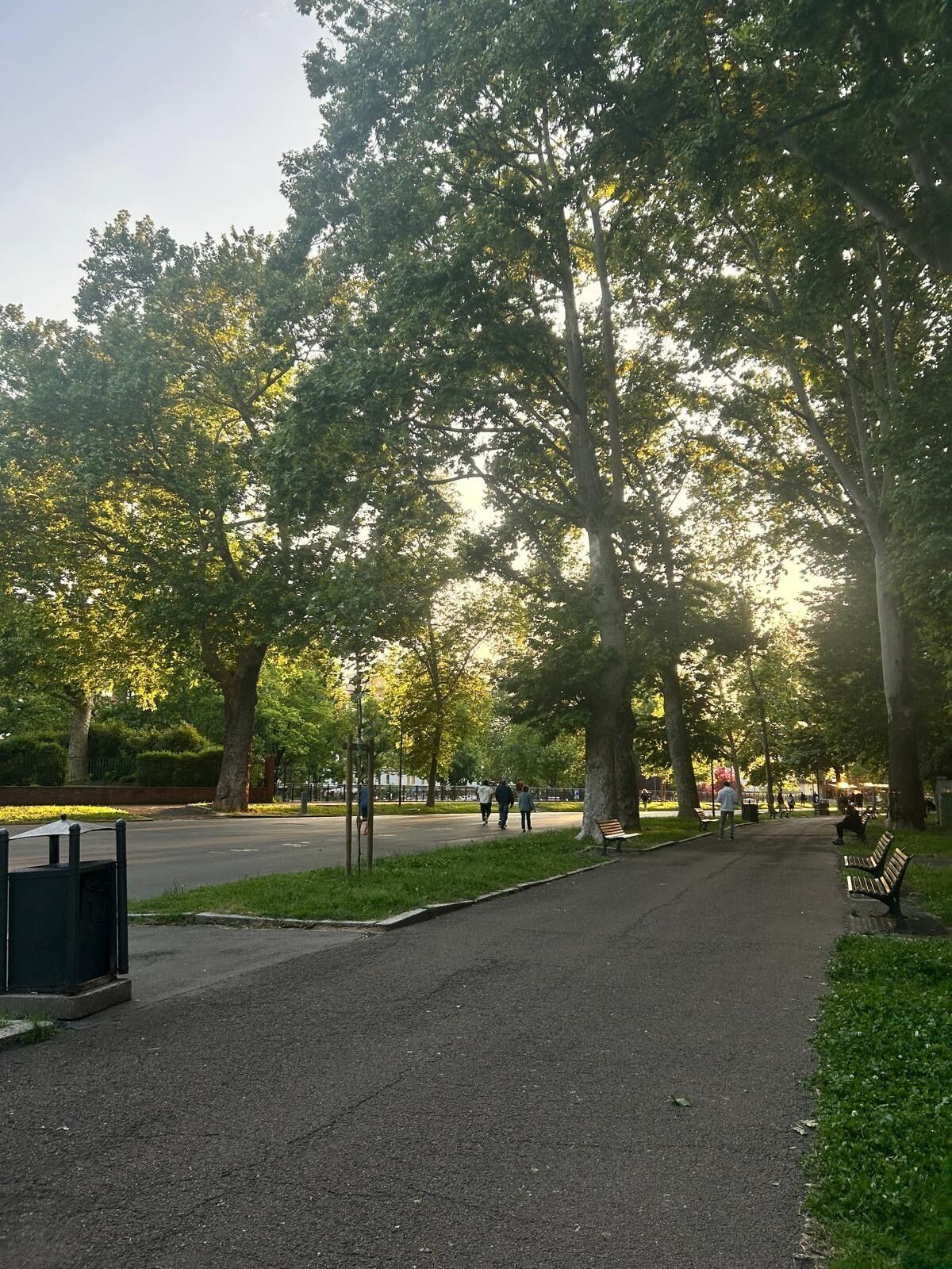 A park pathway with benches and trees.