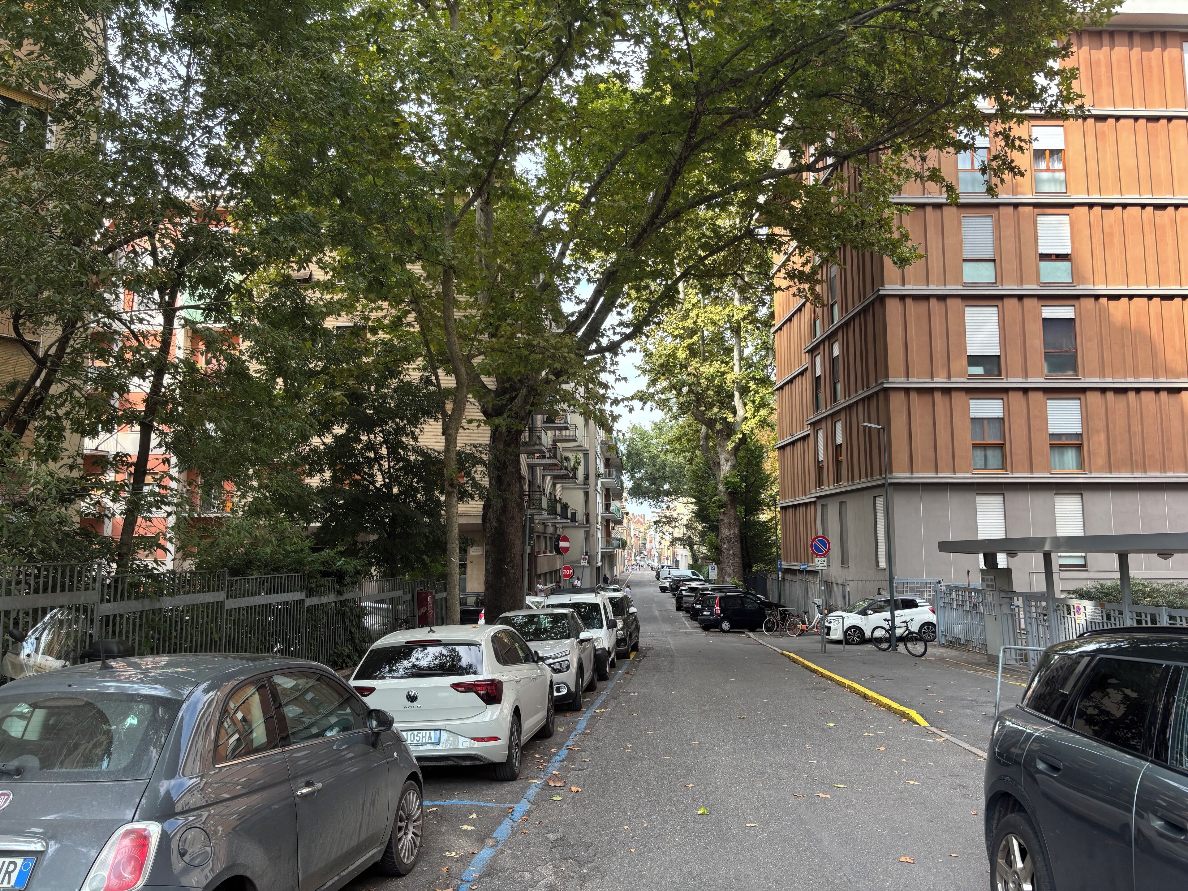 Une rue urbaine bordée d’arbres, avec des voitures garées et des immeubles.