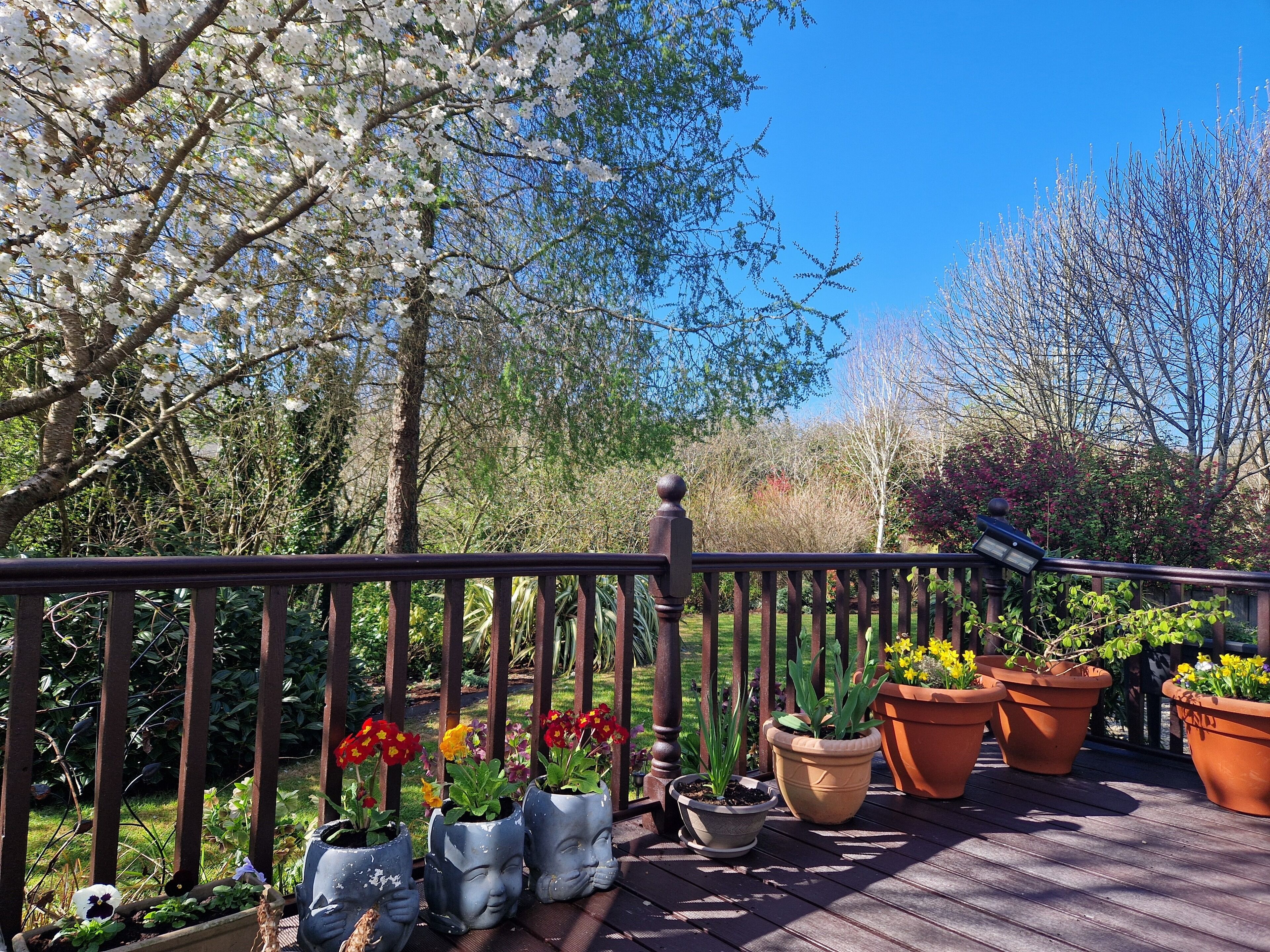 Áreas de la propiedad