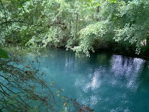 Um rio calmo rodeado por vegetação densa.