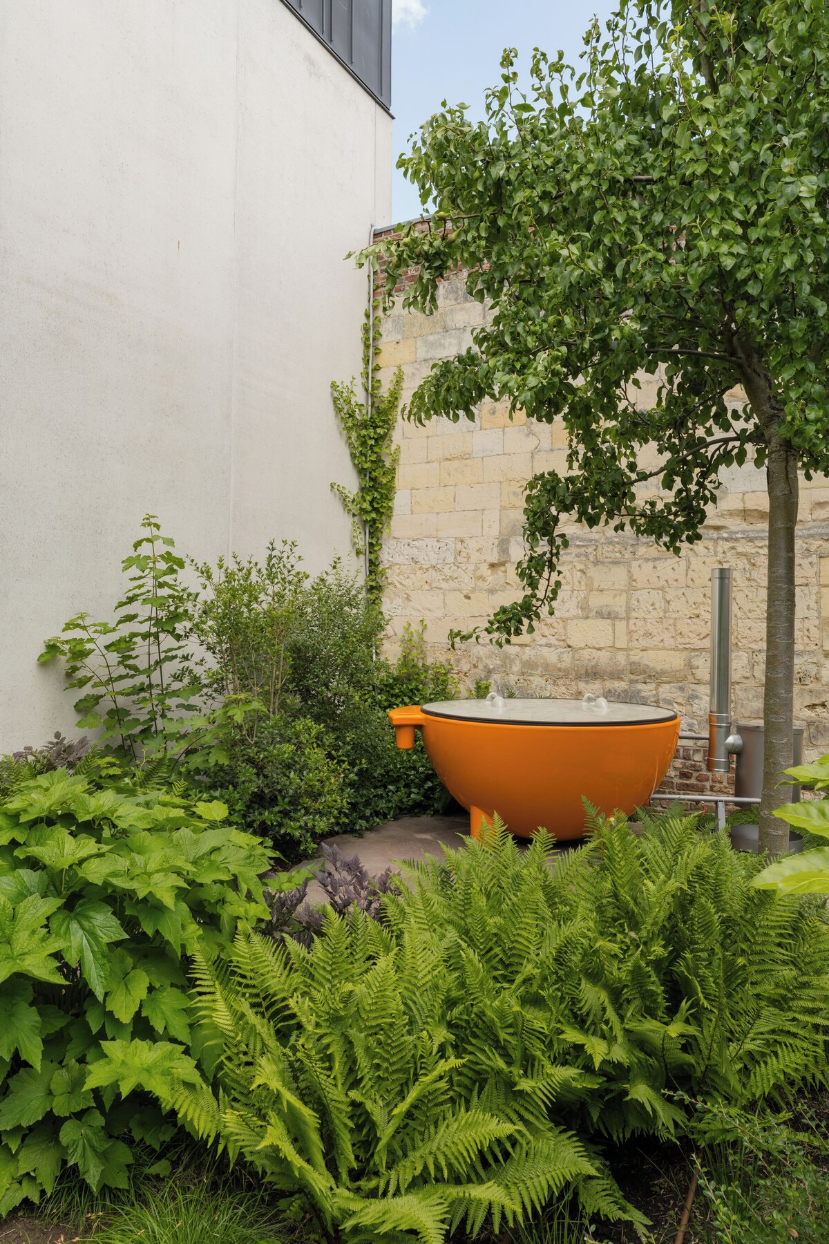 Image de profil de l’hôte