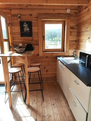 Fridge, microwave, stovetop, coffee/tea maker