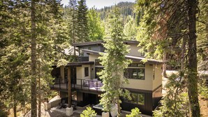 A modern two-story house surrounded by tall pine trees.