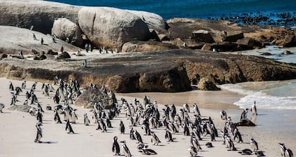 Modern 1-bedroom cottage 20 minutes south of Cape Town