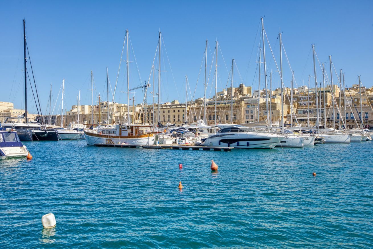 A marina with multiple sailboats docked, a clear blue sky, and buildings in the background.