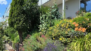 Un giardino con diverse piante e fiori, un vialetto e un edificio sullo sfondo.