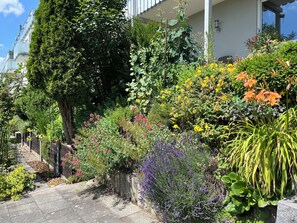 Unclassified image, 3 of 17, button