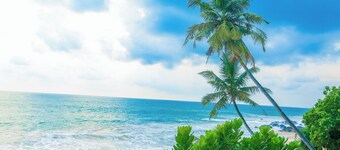 At Kelly's Ambalangoda