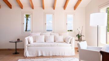 Televisión, chimenea