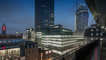 Penthouse Two Bedroom Apartment | Terrace/patio