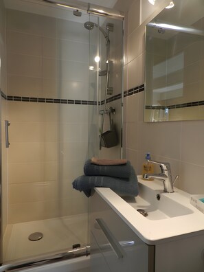 Shower, hair dryer, towels