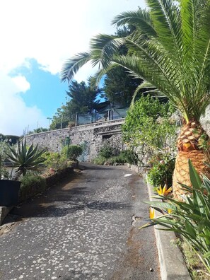 Área da propriedade