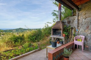 Una pared de piedra con un horno de ladrillo, plantas en macetas y una silla rosa.
