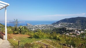 Property grounds - Apartment 'Studio with Sea View' with Sea View, Wi-Fi and Air Conditioning (Barano d'Ischia)