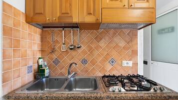Fridge, stovetop, cookware/dishes/utensils