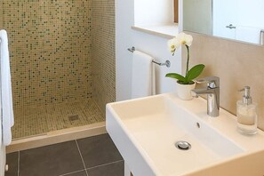 Shower, hair dryer, bidet, towels