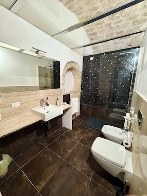 Shower, hair dryer, bidet, towels