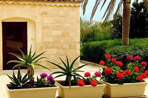 المنطقة المحيطة بالمنشأة