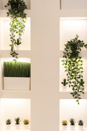 A wall with multiple planters, including hanging plants and small potted plants.