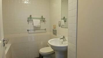 Shower, hair dryer