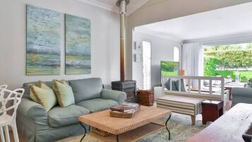 Smart TV, fireplace, books