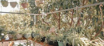 ลิตเติล โฮม