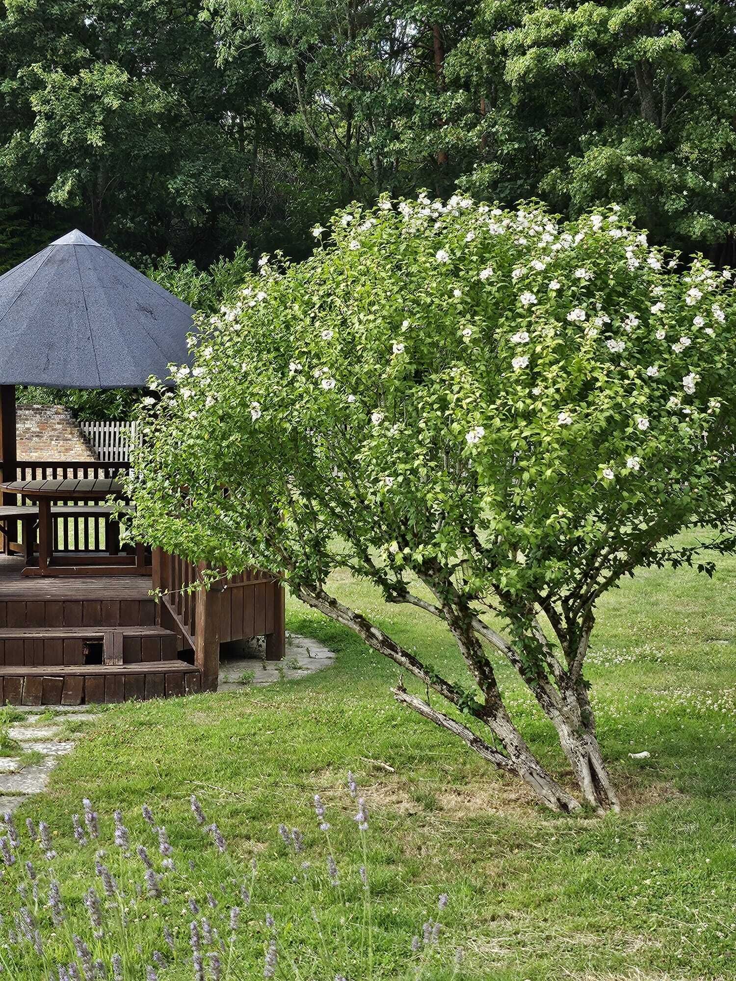 Terrein van de accommodatie