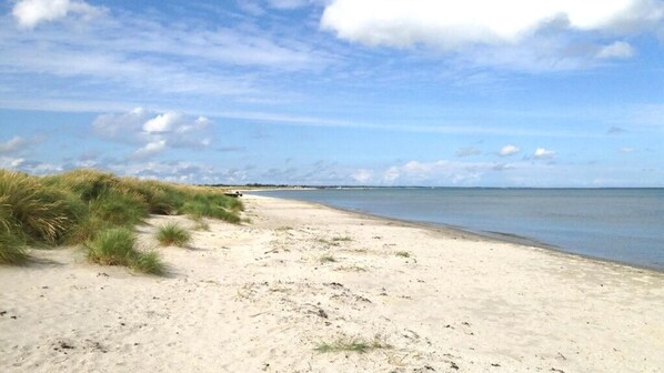 A sandy beach with dunes and a calm sea under a partly cloudy sky. - VillaVilla 295 - Ålbæk, Nordjylland (Ålbæk)