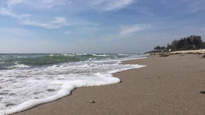 Una playa con olas acariciando la orilla, cielo despejado y una línea de árboles al fondo.