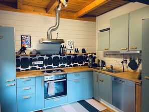 Oven, stovetop, dishwasher