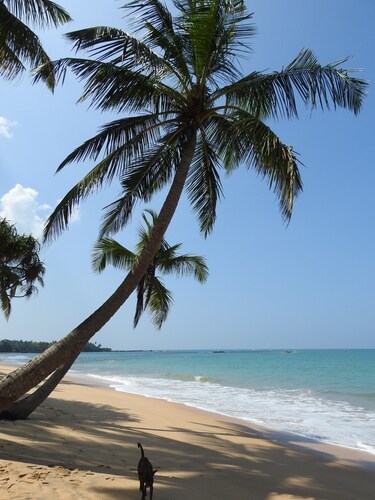 Tropical villa with private pool near the beach