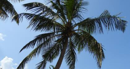 Tropical villa with private pool near the beach