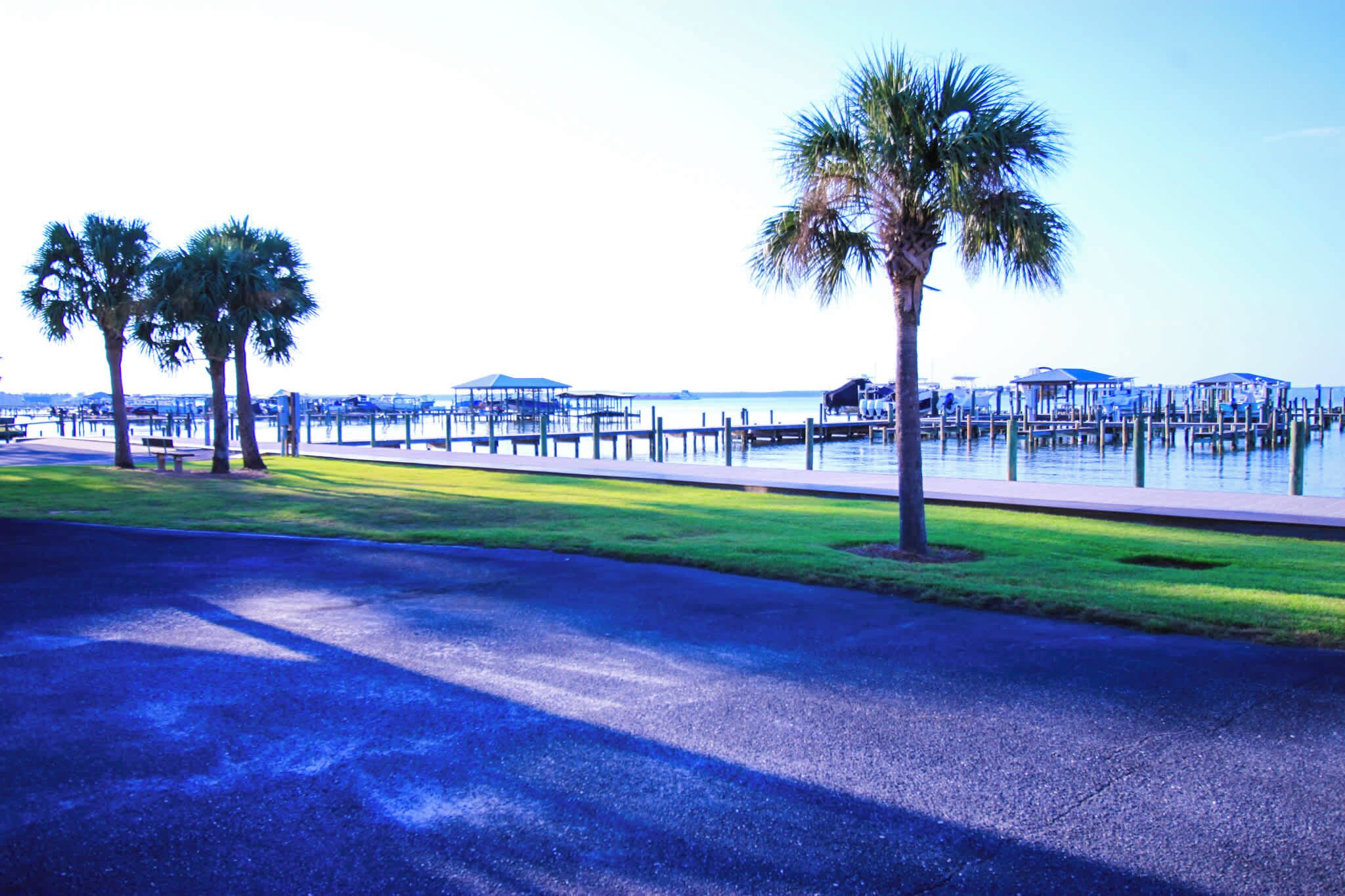 A waterfront area with a paved walkway, palm trees, and dock structures.