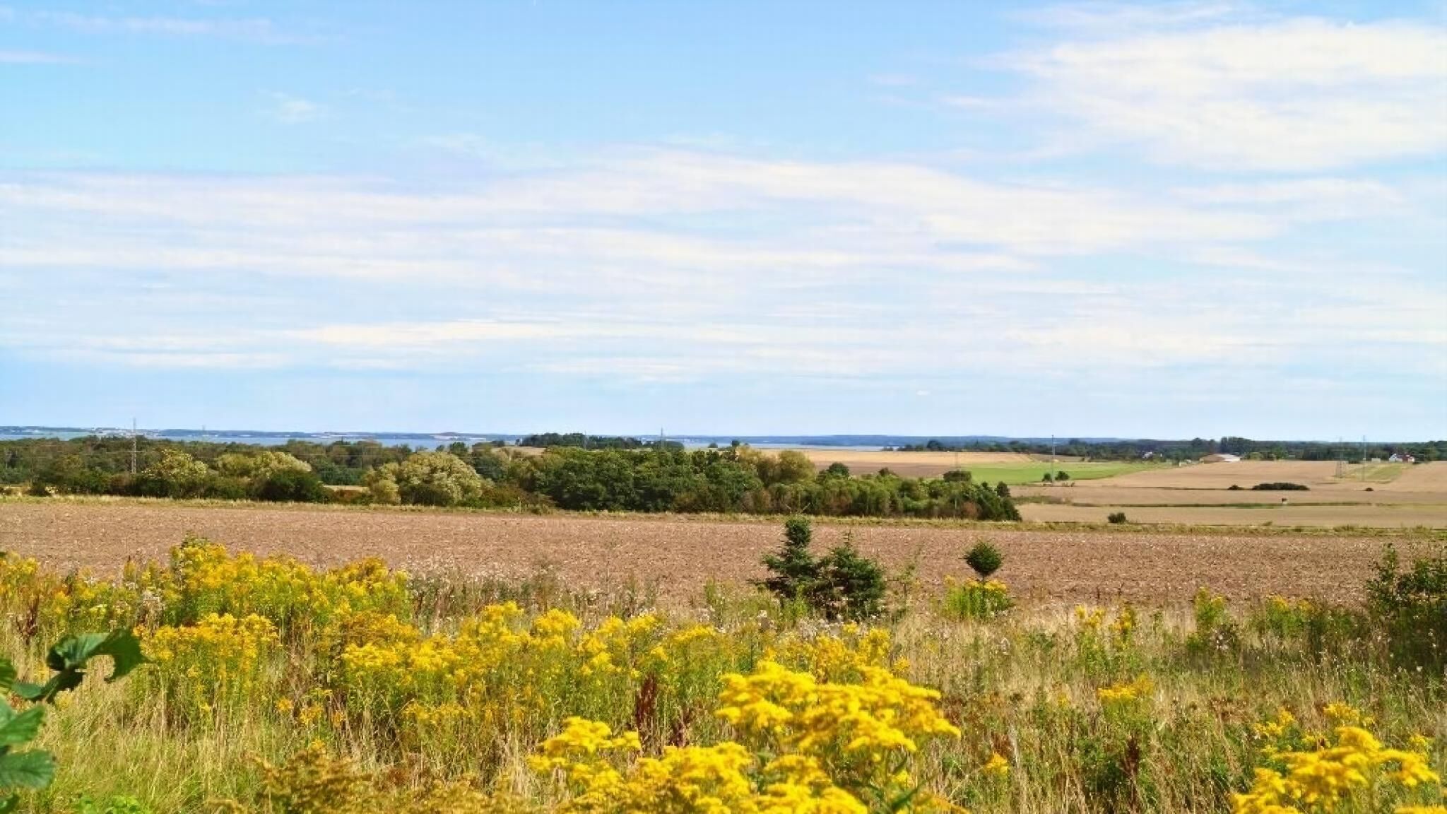 Paisaje rural con campos, árboles y una vista distante de una masa de agua.