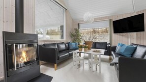 TV, fireplace, video-game console, foosball