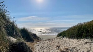 Een zandpad langs het strand dat naar de oceaan leidt, met grasduinen aan beide zijden.