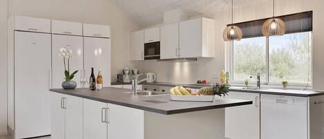 Fridge, oven, stovetop, coffee/tea maker