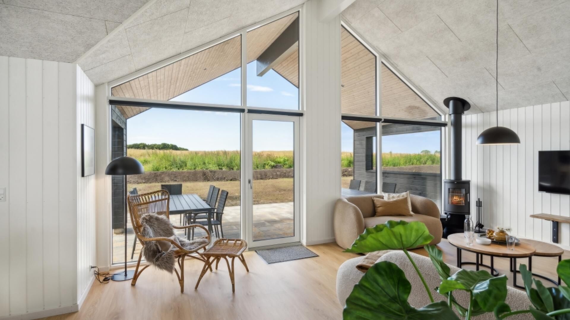 Chimenea, futbolito, mesa de ping pong