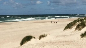 Playa