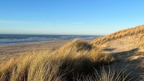 Beach - VillaVilla 672 - Søndervig, Vestjylland (Ringkøbing)